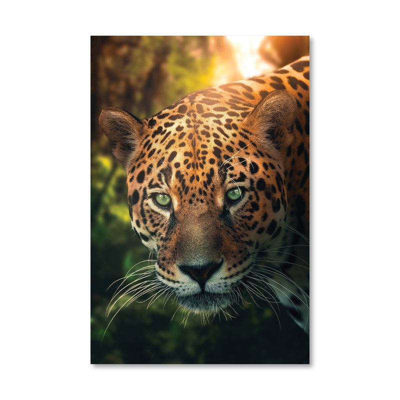 Hunting Leopard Canvas