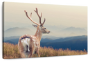 Mountain Sika Deer Wall Art