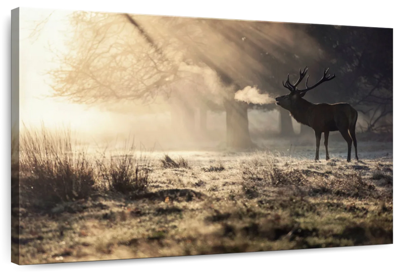 Wild Deer In Snow Wall Art