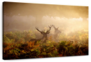 Misty Morning Deer Wall Art