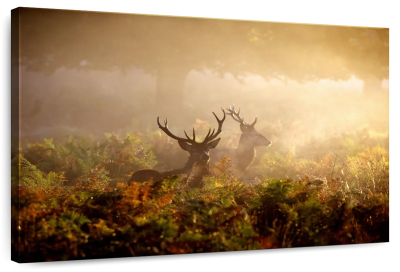 Misty Morning Deer Wall Art