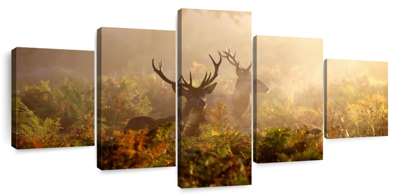 Misty Morning Deer Wall Art