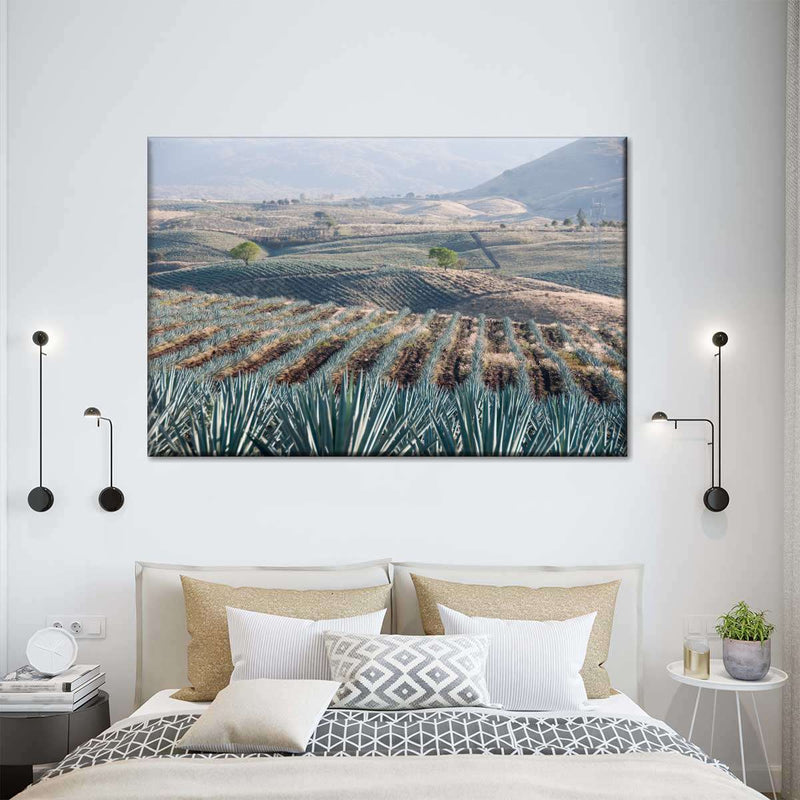 Tequila Jalisco Agave Field Wall Art