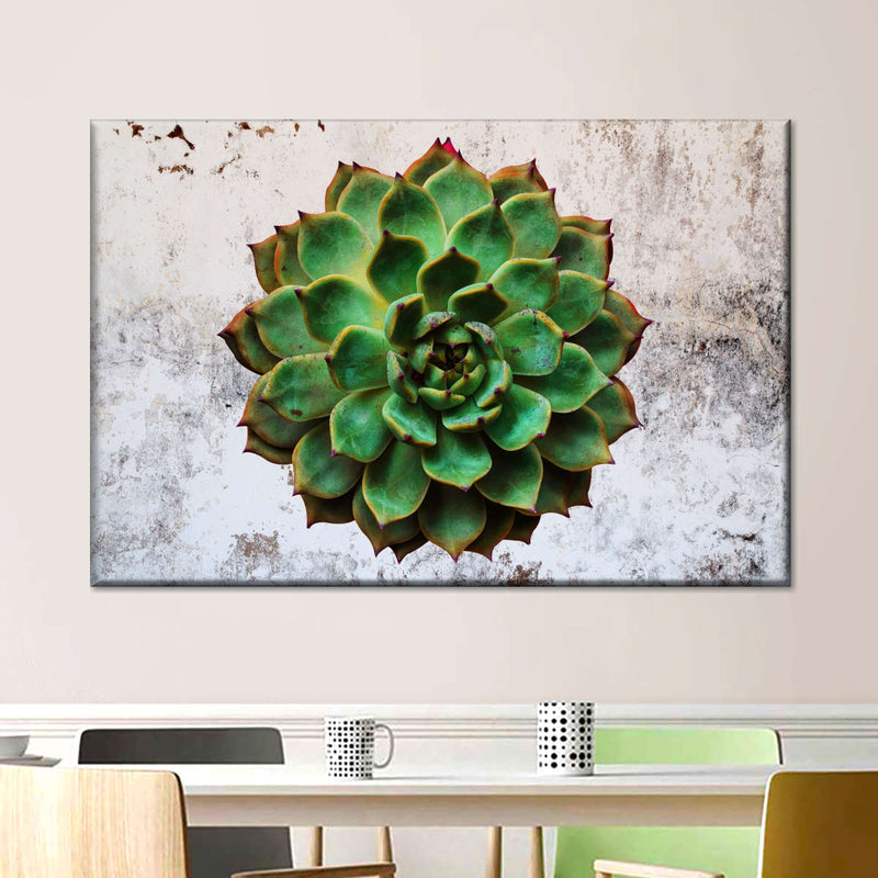 Grunge Succulent Wall Art