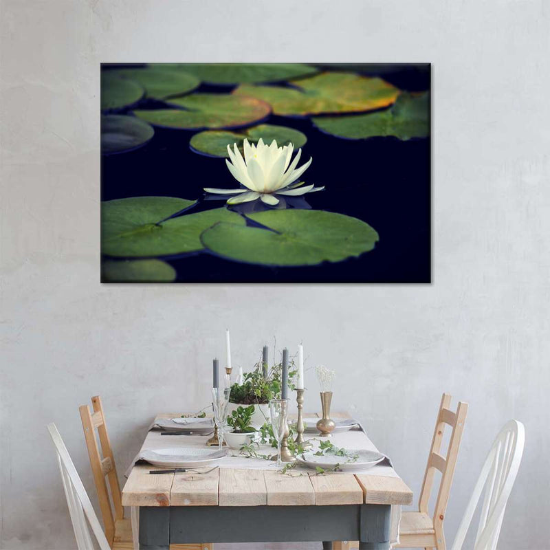 Lotus And Leaves Wall Art