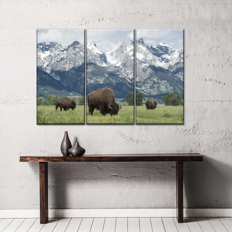 Grazing Teton Bison Wall Art