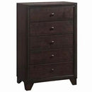 Home 5 Drawers Chest Dresser Storage Cabinet by LJGDeals