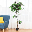 5.5 Feet Artificial Ficus Silk Tree with Wood Trunks by LJGDeals