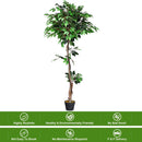 5.5 Feet Artificial Ficus Silk Tree with Wood Trunks by LJGDeals