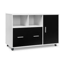 Lateral Mobile File Storage Cabinet by LJGDeals