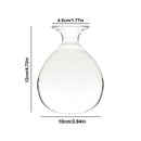 Clear glass avocado seed vase set of 4 kitchen hydroponic decor by Decorbites