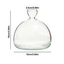 Clear glass avocado seed vase set of 4 kitchen hydroponic decor by Decorbites