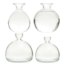 Clear glass avocado seed vase set of 4 kitchen hydroponic decor by Decorbites