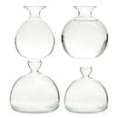 Clear glass avocado seed vase set of 4 kitchen hydroponic decor by Decorbites