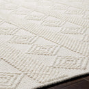 Bolinger Area Rug