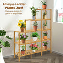 Multifunctional Bamboo Shelf Display Organizer by LJGDeals