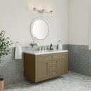 James Martin Chicago 48" Single Bathroom Vanity, Walnut Whisper