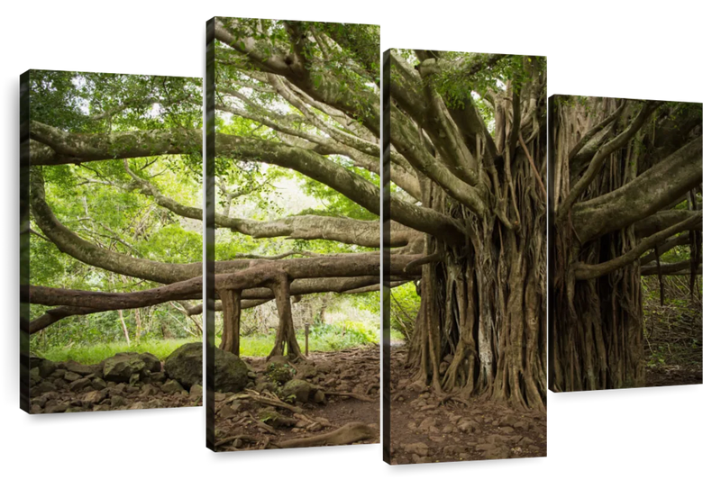 Banyan Tree Wall Art