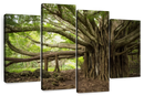 Banyan Tree Wall Art