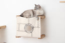 Enclosed Cat Bed - Cat Wall Cubby