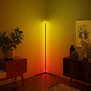 RGBCW Corner Floor Lamp by EP Designlab LLC