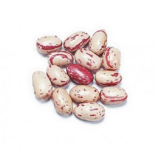 50 CRANBERRY BEAN French HORTICULTURE Bortolli Roman Phaseolus Vegetable Seeds