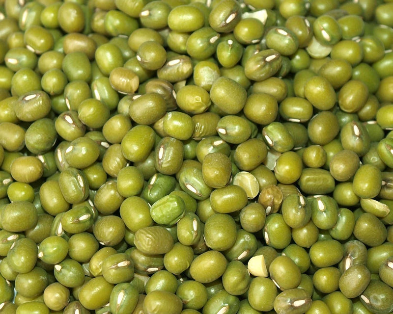 150 MUNG BEAN Moong Sprouts Golden Gram Green Vigna Radiata Vegetable Seeds