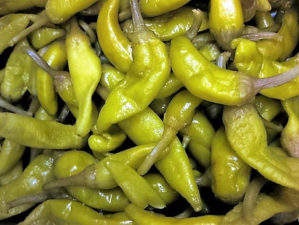 50 GREEK GOLDEN PEPPER Pepperoncini Gold Yellow Capsicum Annuum Vegetable Seeds