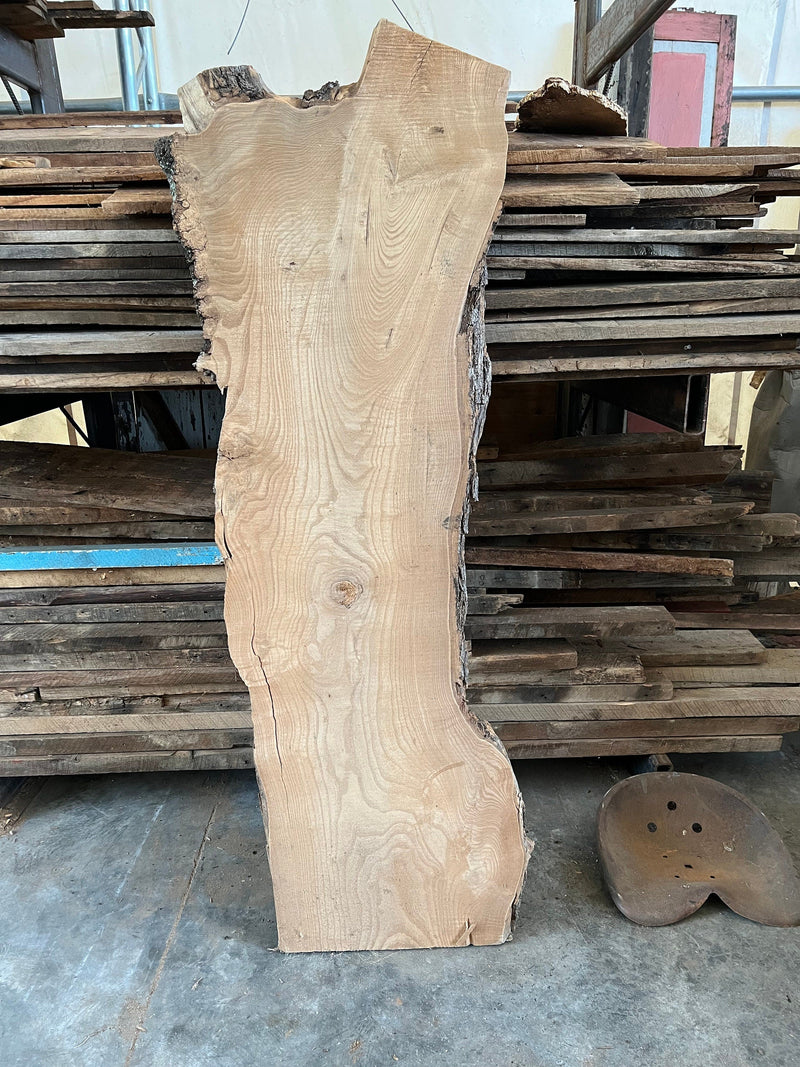 Catalpa Wood Slab, Live Edge Slab, Figured Catalpa Wood Slabs, DIY Coffee Table Slabs, Wood Crafting Slabs, Live Edge Table, DIY Rustic Slab