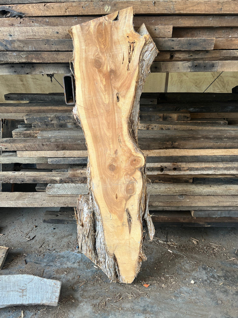 FREE SHIPPING - Large Live Edge Wood Slabs, Rough Edge Red Cedar Slab, Live Edge Slab, Live Edge Crafting Slabs, DIY Cedar Coffee Table Slab