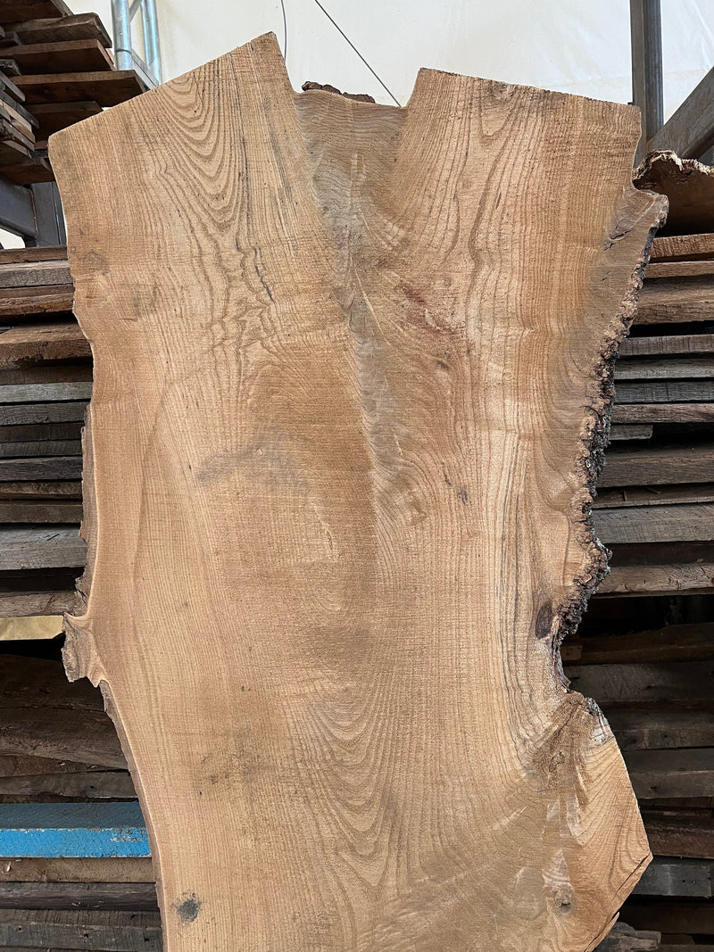 Catalpa Wood Slab, Live Edge Slab, Figured Catalpa Wood Slabs, DIY Coffee Table Slabs, Wood Crafting Slabs, Live Edge Table, DIY Rustic Slab