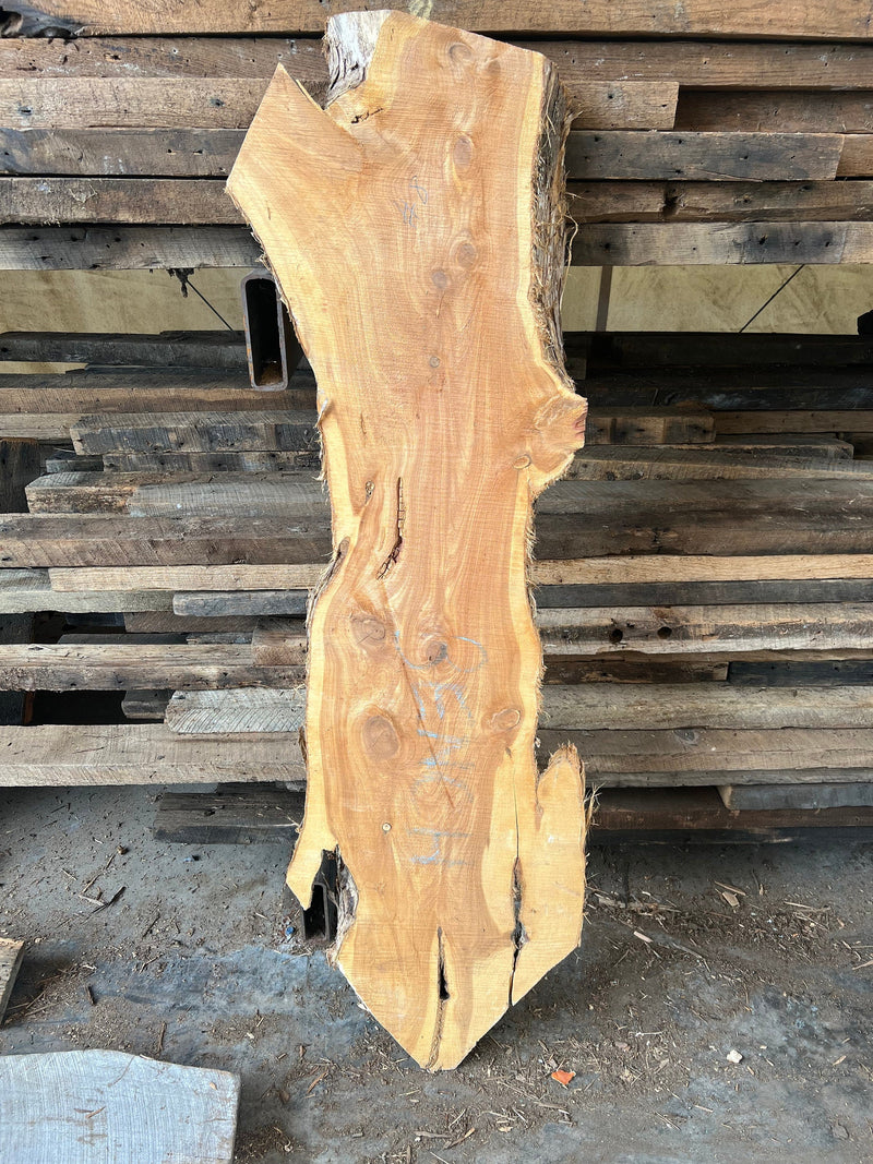 Large Live Edge Wood Slabs, Rough Edge Red Cedar Slab, Live Edge Slab, Live Edge Crafting Slabs, DIY Cedar Coffee Table Slab