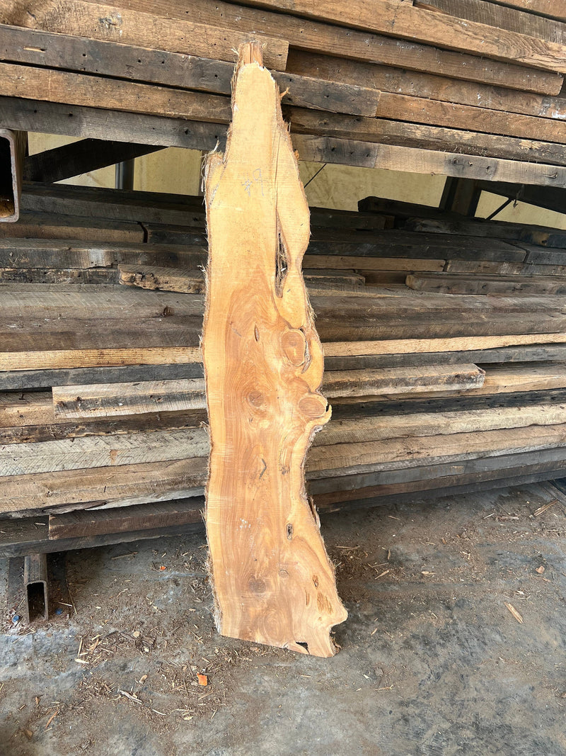 Live Edge Cedar Slabs, DIY Wood Crafting Slabs, Solid Wood Slabs, Red Cedar Slab, Live Edge Slabs, DIY Woodworking Slabs, Natural Raw Edge