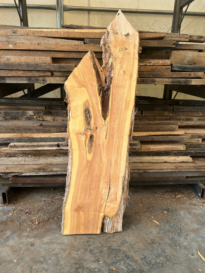 Red Cedar Slab, Live Edge Slab, Raw Cedar Halves, Large Live Edge Wood Slabs, Cedar Wood Live Edge, Warm Wood Slab, DIY Live Edge Table