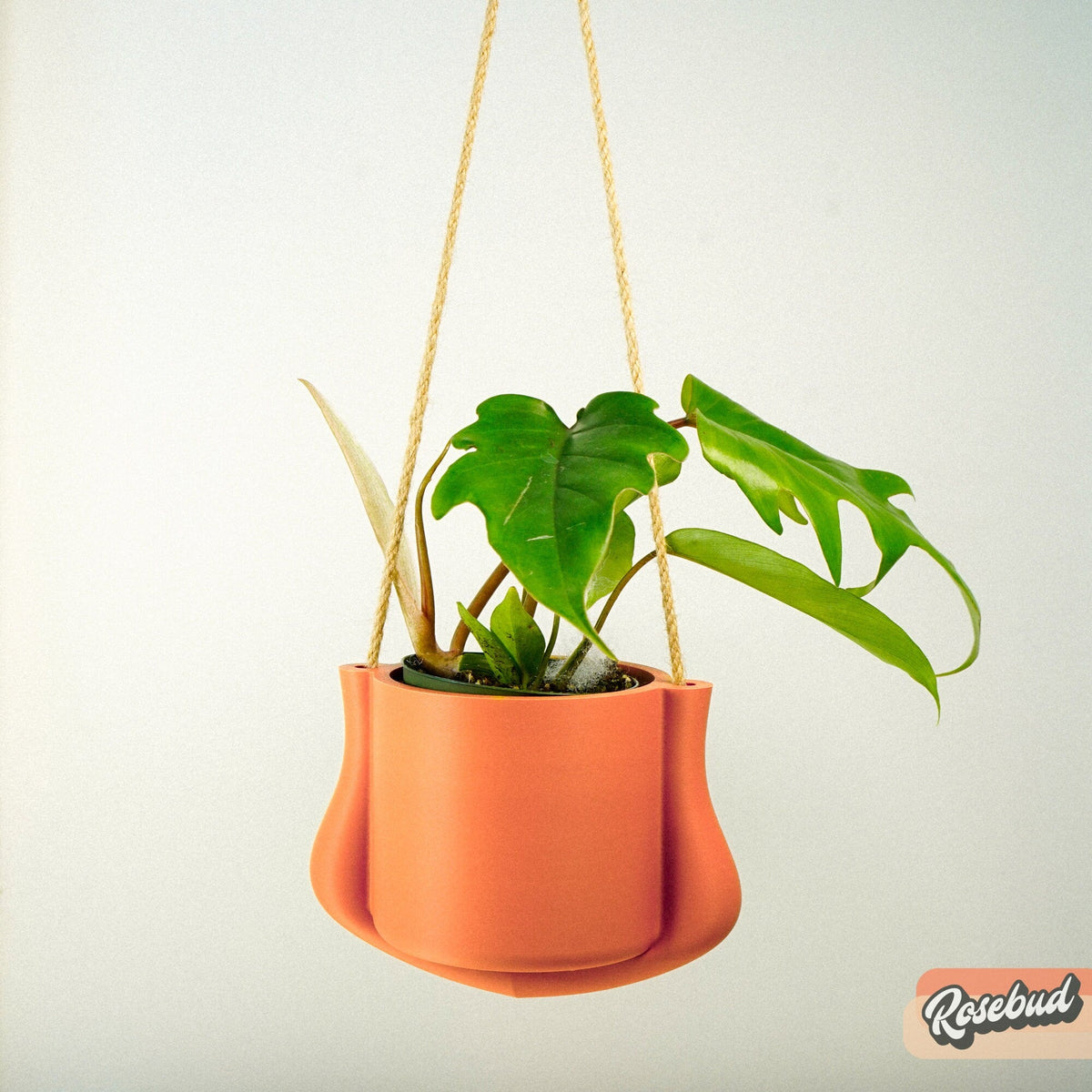 Hanging Planter - The Elysian, photo 8 of 10