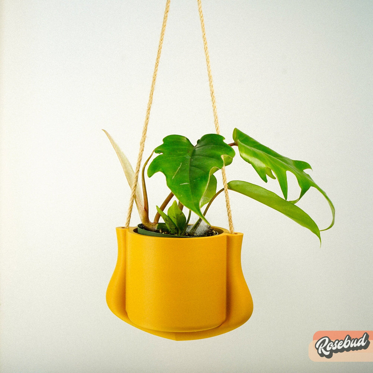 Hanging Planter - The Elysian, photo 9 of 10