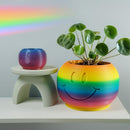 Happy Sprout Smiley Face Plant Pot with Drainage and Drip Tray – Cute Ghibli Decor Planter | Kawaii Hypebeast Pots for Plants | Cubicle & Classroom Decor