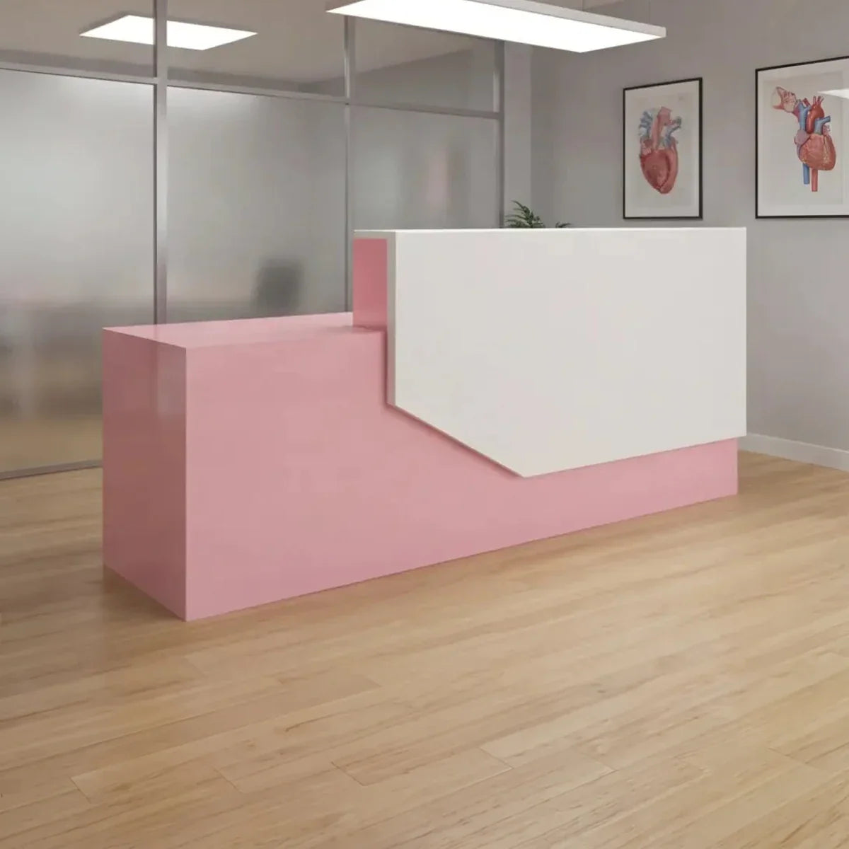 Elira · Front Reception Desk, photo 2 of 14