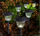 Energizer 12 Pack Solar Pathway Light Set 15-Lumen by Outdoor Solar Outlet