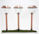 Energizer 12 Pack Solar Pathway Light Set 15-Lumen by Outdoor Solar Outlet