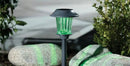 Berkley Jensen Solar Color-Holding Pathway Lights, 8pk. by Outdoor Solar Outlet