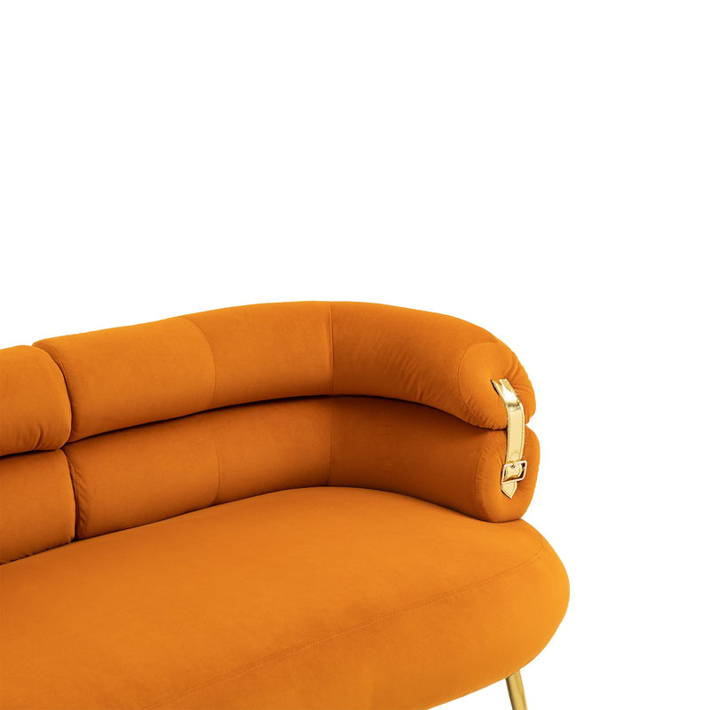 Accent Chair, leisure chair with Golden feet