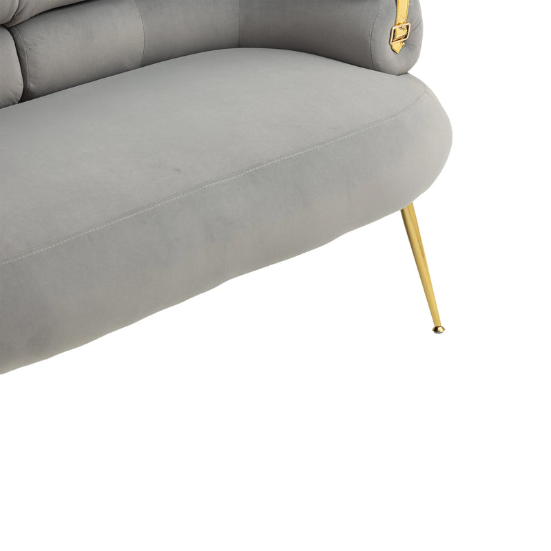 Accent Chair, leisure chair with Golden feet
