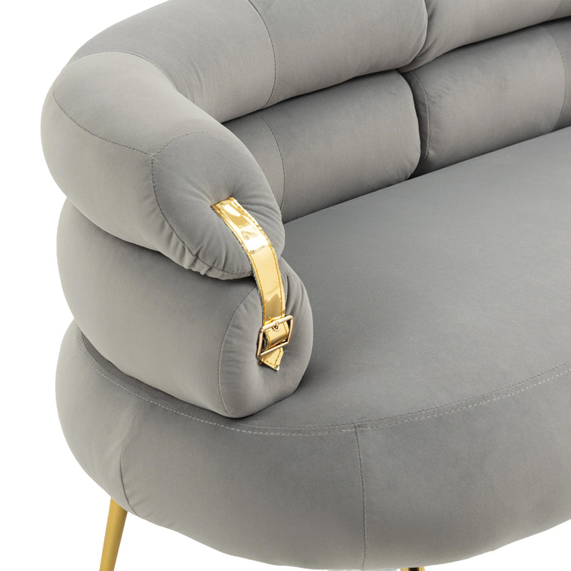 Accent Chair, leisure chair with Golden feet