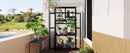 62inch Height Wood Large Greenhouse Balcony Portable Cold Frame with Wheels and Adjustable Shelves for Outdoor Indoor Use, Black