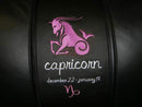 Capricorn Pink Logo Panel