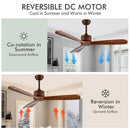 52 Inch Modern Ceiling Fan Indoor Outdoor Brushed Nickel Finish with Remote by LJGDeals