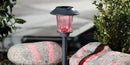 Berkley Jensen Solar Color-Holding Pathway Lights, 8pk. by Outdoor Solar Outlet