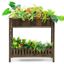 2-Tier Wood Raised Garden Bed for Vegetable and Fruit by LJGDeals