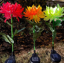 Solar LED Light Artificial Chrysanthemum Flower (3 Pack)